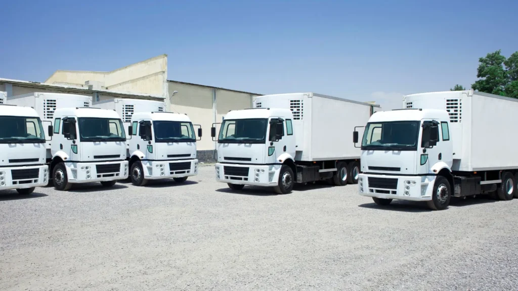 motclef1 localisation1